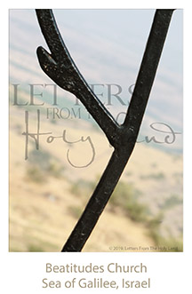 /wp-content/uploads/Letters/LetterOnly/Y-07_Beatitudes ironwork_2019.png